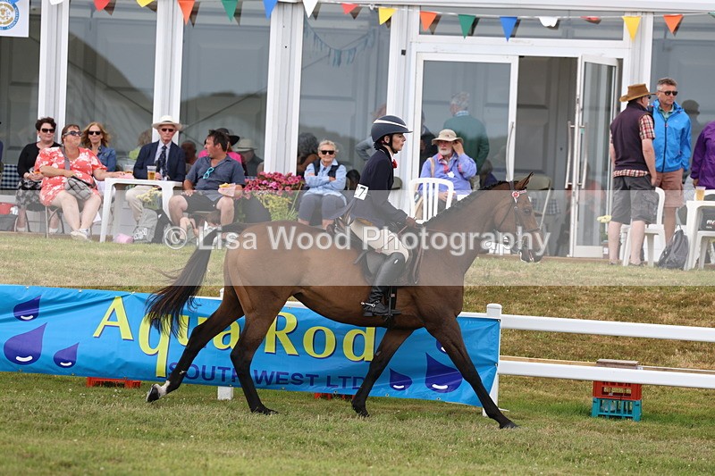 3E7A2399 - Class 11: Retraining of Racehorse