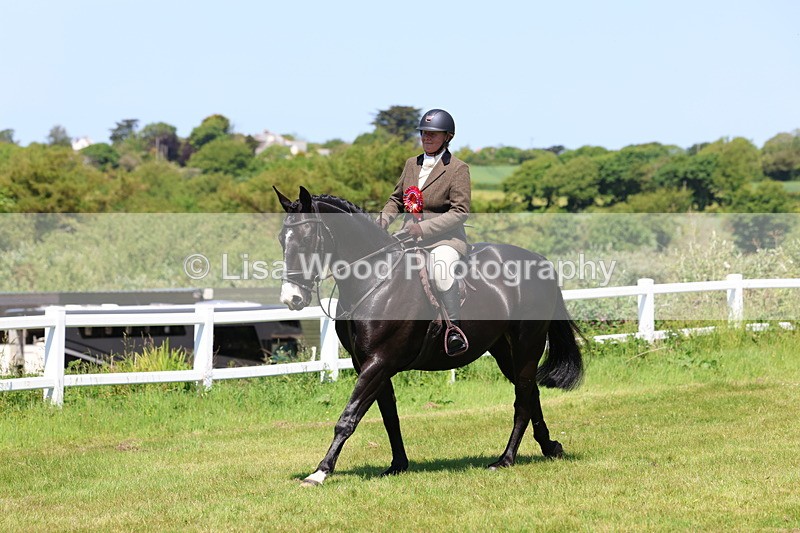 3E7A7440 - Class 30: Novice Working Hunter