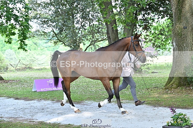 250521A-151122-00326 - B-303-Alexander.Bragg-SHANNONDALE.ALDO