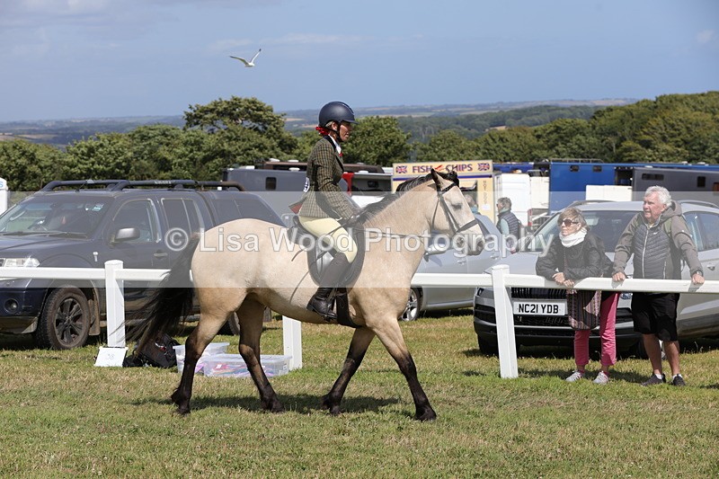 1X9A5522 - Class 38: NPS Novice Ridden Small and Large Breeds
