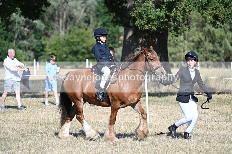 WJ7_2985 - Class 8 Ridden Tack & Turnout