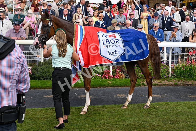 220826-Race 4-Daiquiri Bay-4428 - Race 4 15.35pm Sky Bet Ebor Handicap