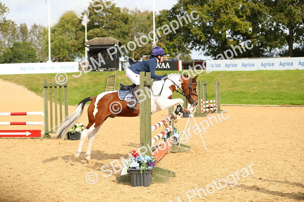 SBM_70181 - J18 - Junior Pony 85cm Championship