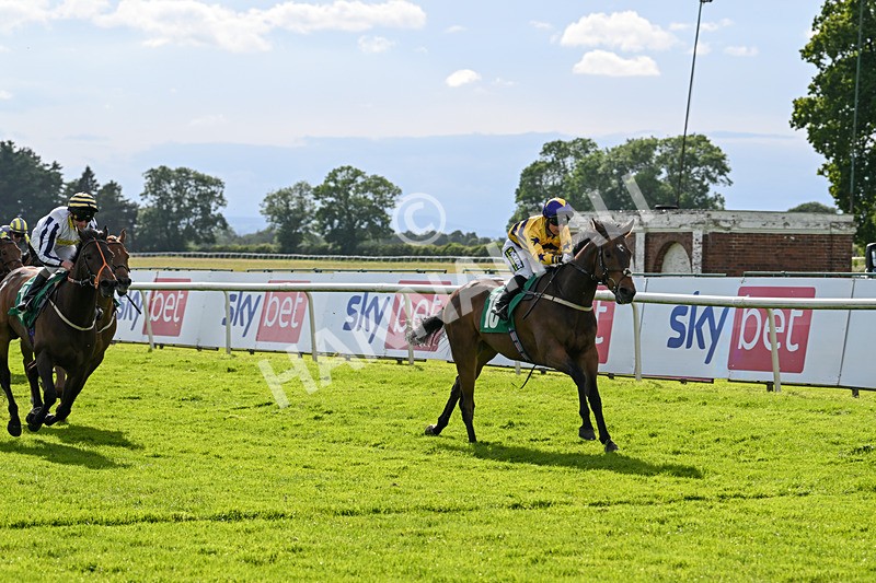 160624-Race 5-American Affair-8971 - Race 5