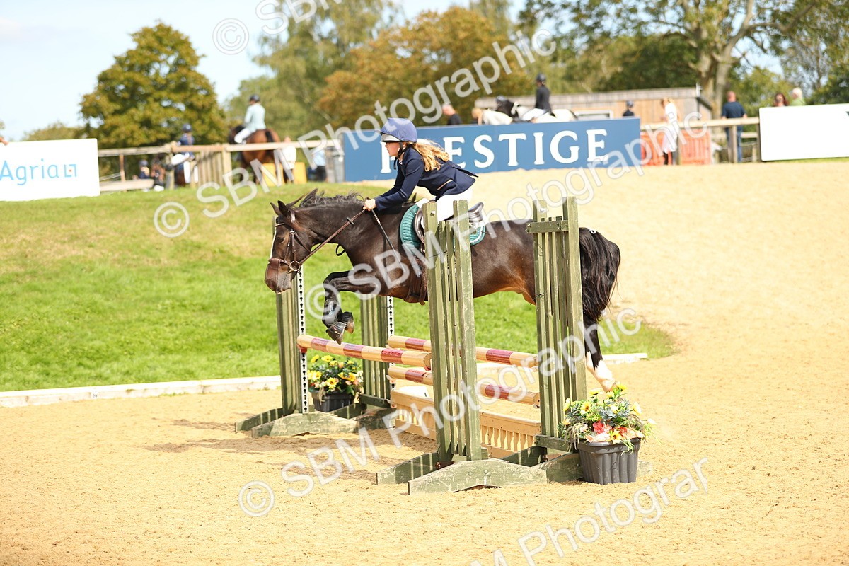 SBM_66136 - J17 - Junior Pony 80cm Championship