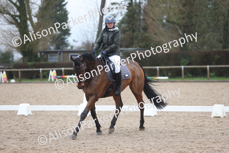 20260215-0223 - Class 3 - Novice 5