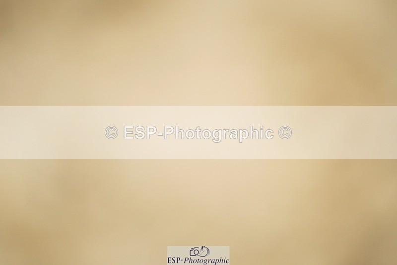 240309-113012-00382 - Cls 01 AE 70cm