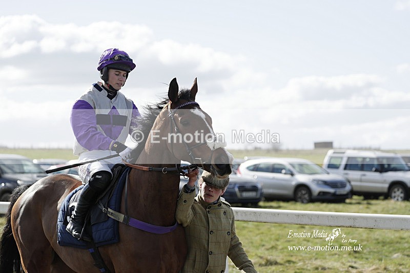 PtP 260223 385 - South & West Wilts Point-to-Point Larkhill 26/02/23
