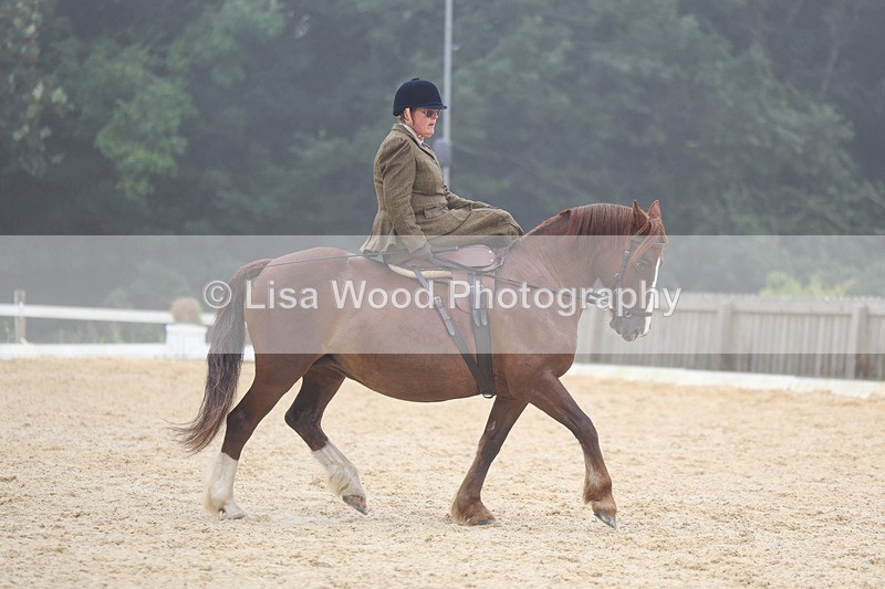 3E7A6909 - Class 5: Prelim to Music