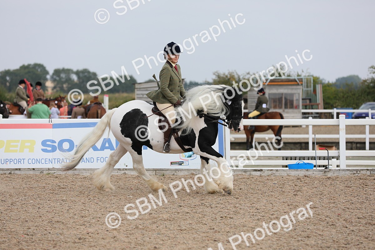 SBM_12802 - Class 307 Ridden Coloured Pony