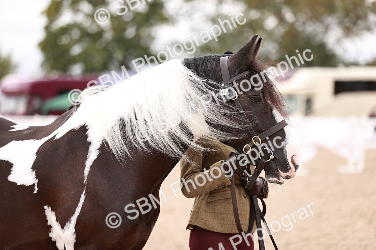 SBM_18437 - Class 419 - Best Maine and Tail - Jnr