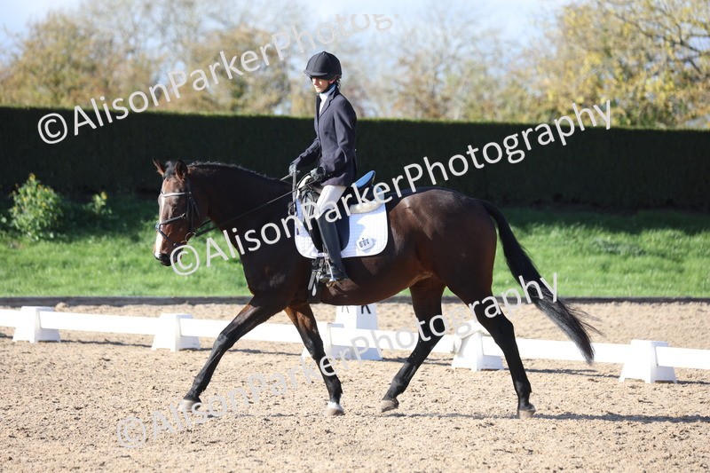 20251101-0557 - Class 4 - Novice 2