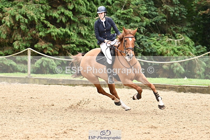 250706A-134050-19733 - Cls 49 Snr 1.10m Grand Prix