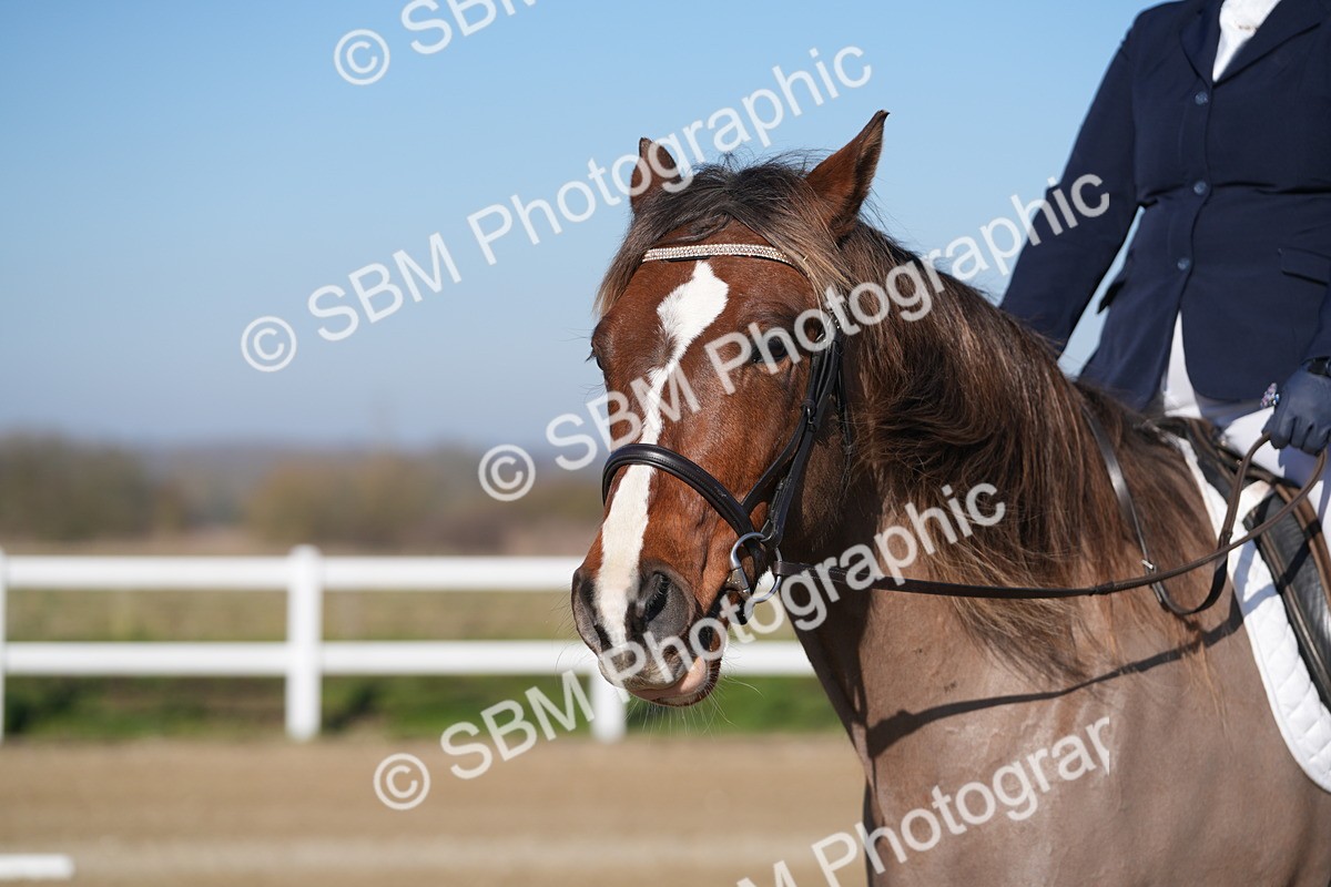 SBM_000377 - Class 1 - Intro 1 - 60cm