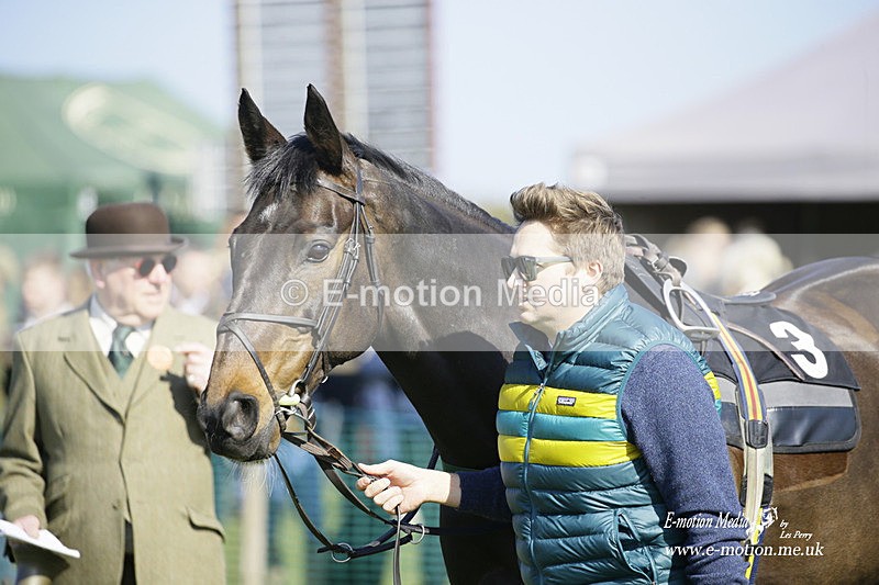 PtP 190322 440 - Wilton Hunt PtP Milborne St Andrew 19/03/22