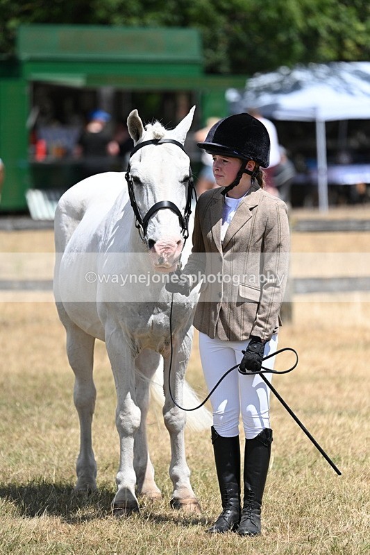 WJ7_2238 - Class 5 Most Handsome Gelding (up to 14.2hh) in hand