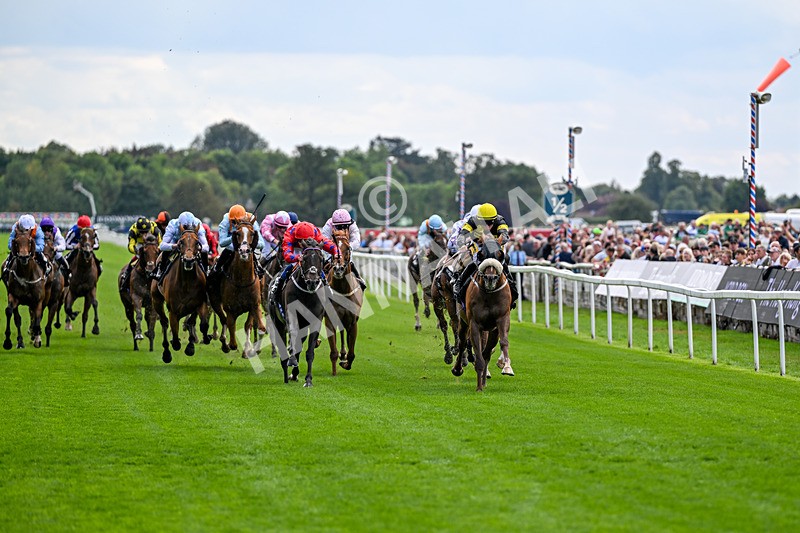 190826-Race 1-Air Force One-0664 - Race 1 13.50pm Hong Kong Jockey Club World Pool Handicap