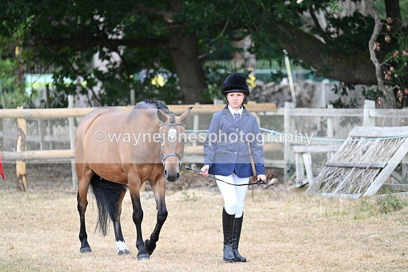 WJ7_9446 - Class 5 Most Handsome Gelding (up to 14.2hh)