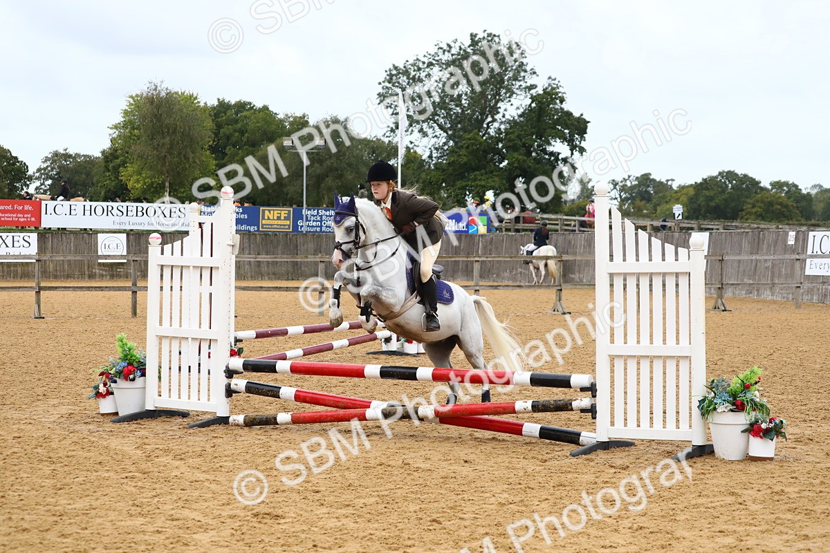 SBM_60066 - J63 - Junior Pony 50cm Championship