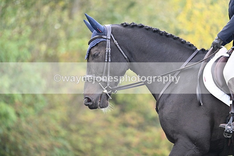 WJ7_2681 - Time 09:00 to 09:35