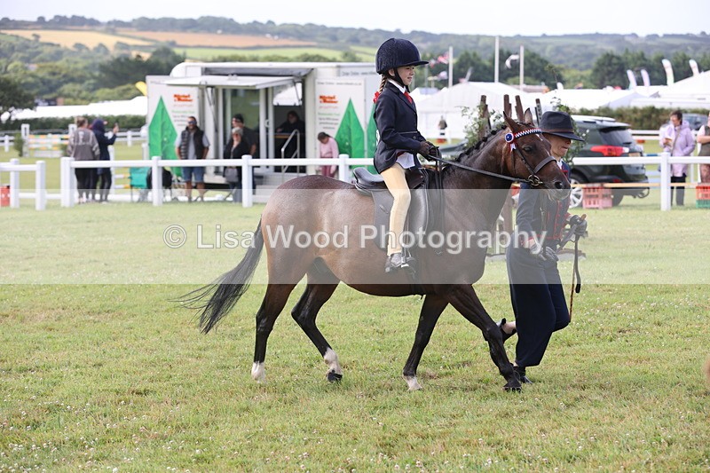 JPP_0399 - Class 14: Cornish Combination Leading Rein