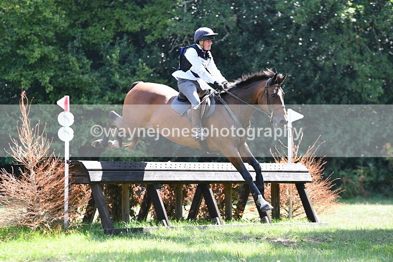 WJ5_3371 - XC Time 13:30 to 14:00
