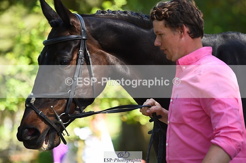 230524-154802-00513 - 363-RLE_KHALEESI_C-Christopher_Wincer-WEDTrotUp+DR