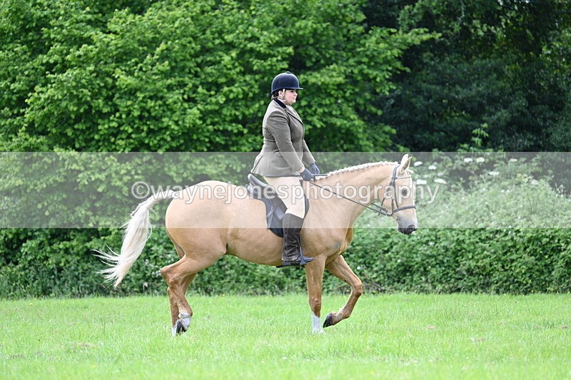 WJ7_2437 - Class 12A Coloured Class
