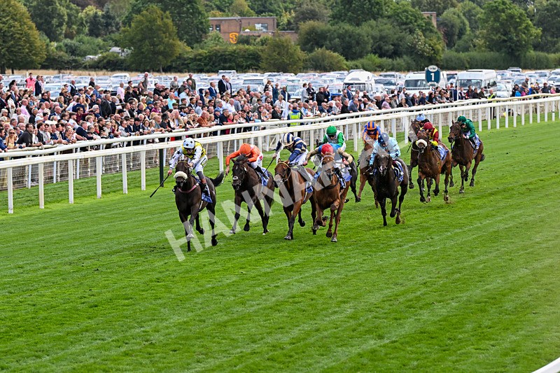 210826-Race 3-Arapaho Gold-0176 - Race 3 15.00pm Al Basti Equiworld Dubai Gimcrack Stakes