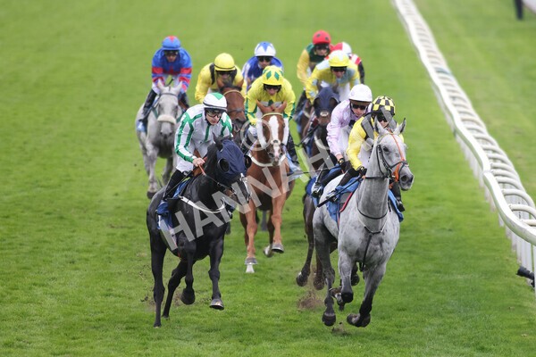 yr09102021r6-6 - Race 6 4.25pm Coral Best Odds Guaranteed Handicap