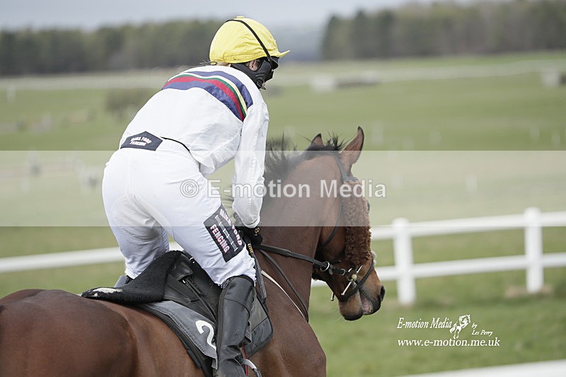 PtP 260323 0796 - New Forest Hounds Point-to-Point Larkhill 26/03/23