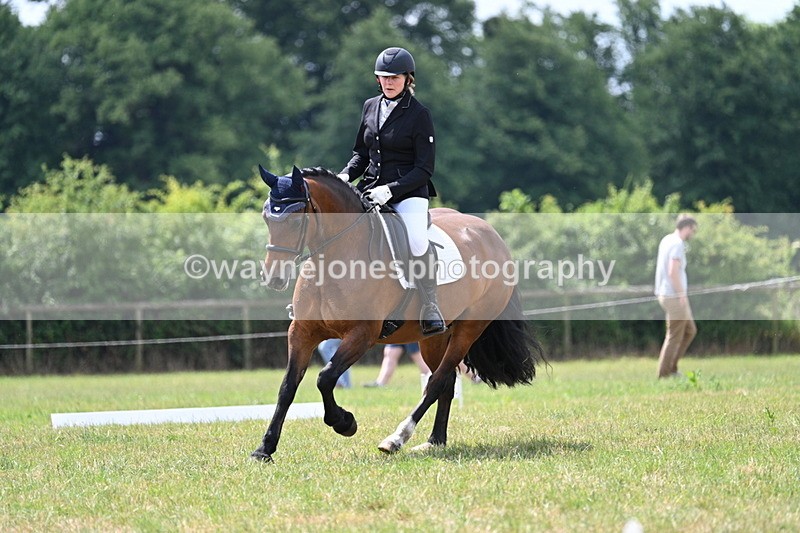 WJ7_5431 - Time 11:52 to 12:10