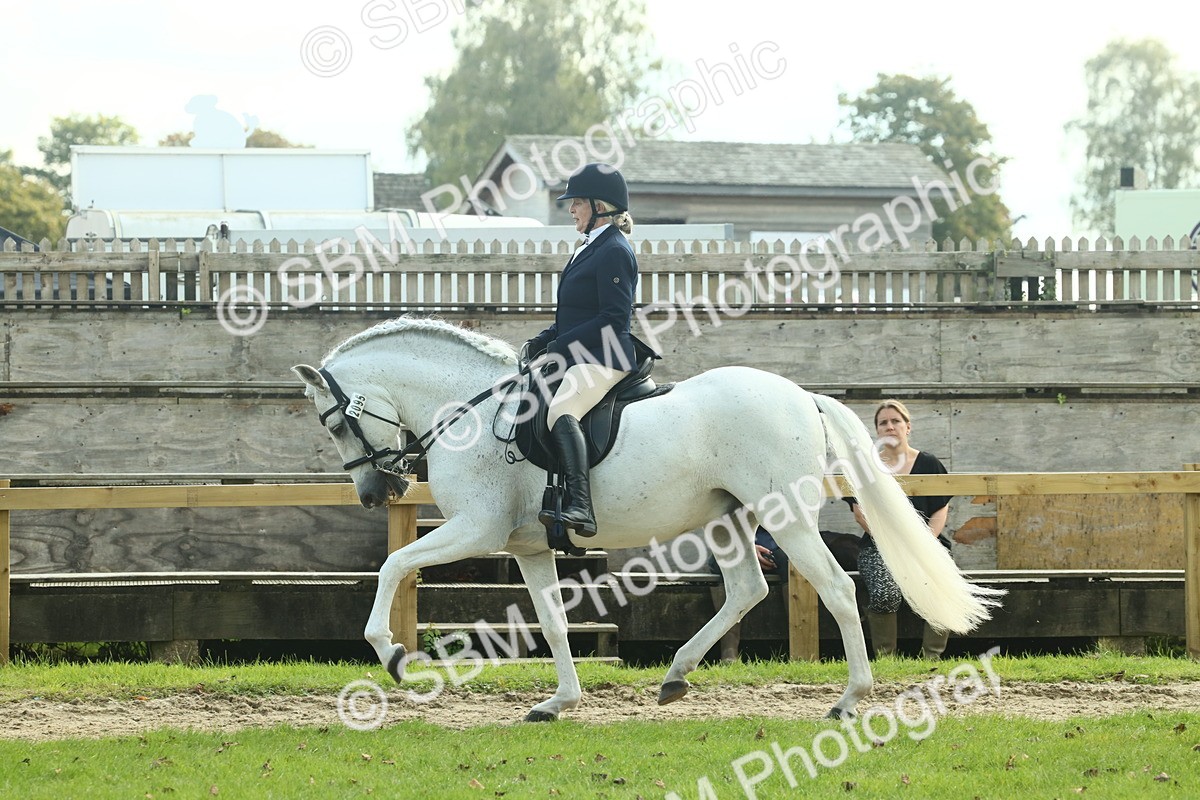 SBM_62424 - S62 - Foreign Breeds Ridden