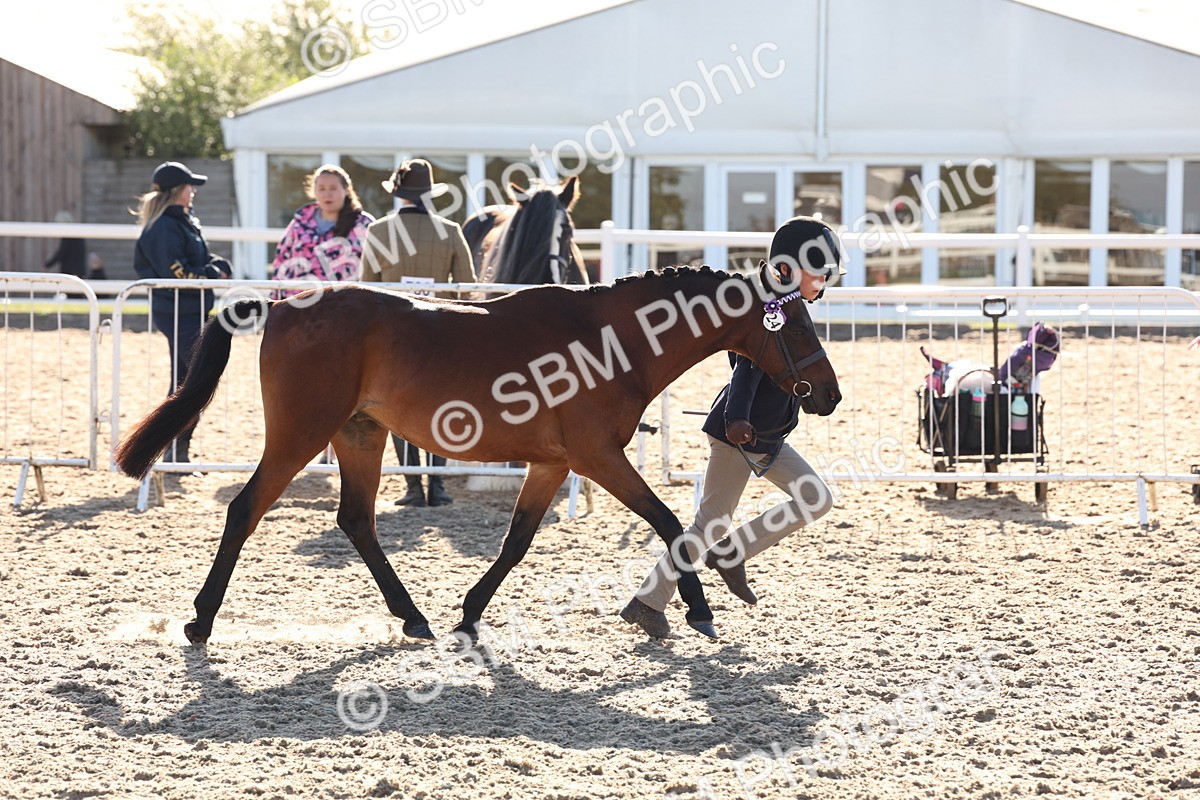 SBM_11638 - Class 203 - Young Handler 11 to 16 years