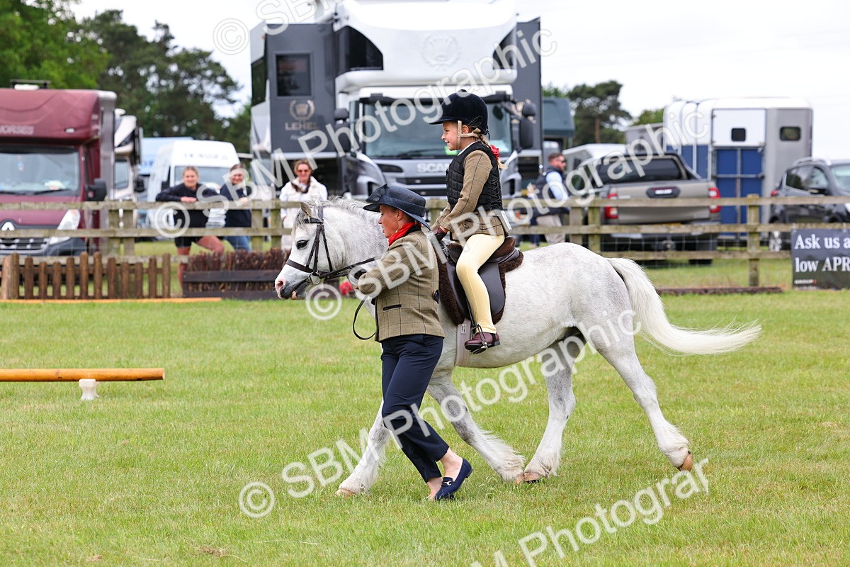 SBM_08205 - Class 42-43 - LIHS BSPS Heritage Working Sports Pony