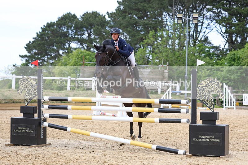 3E7A7512 - Class 8: Senior Foxhunter/1.20 open