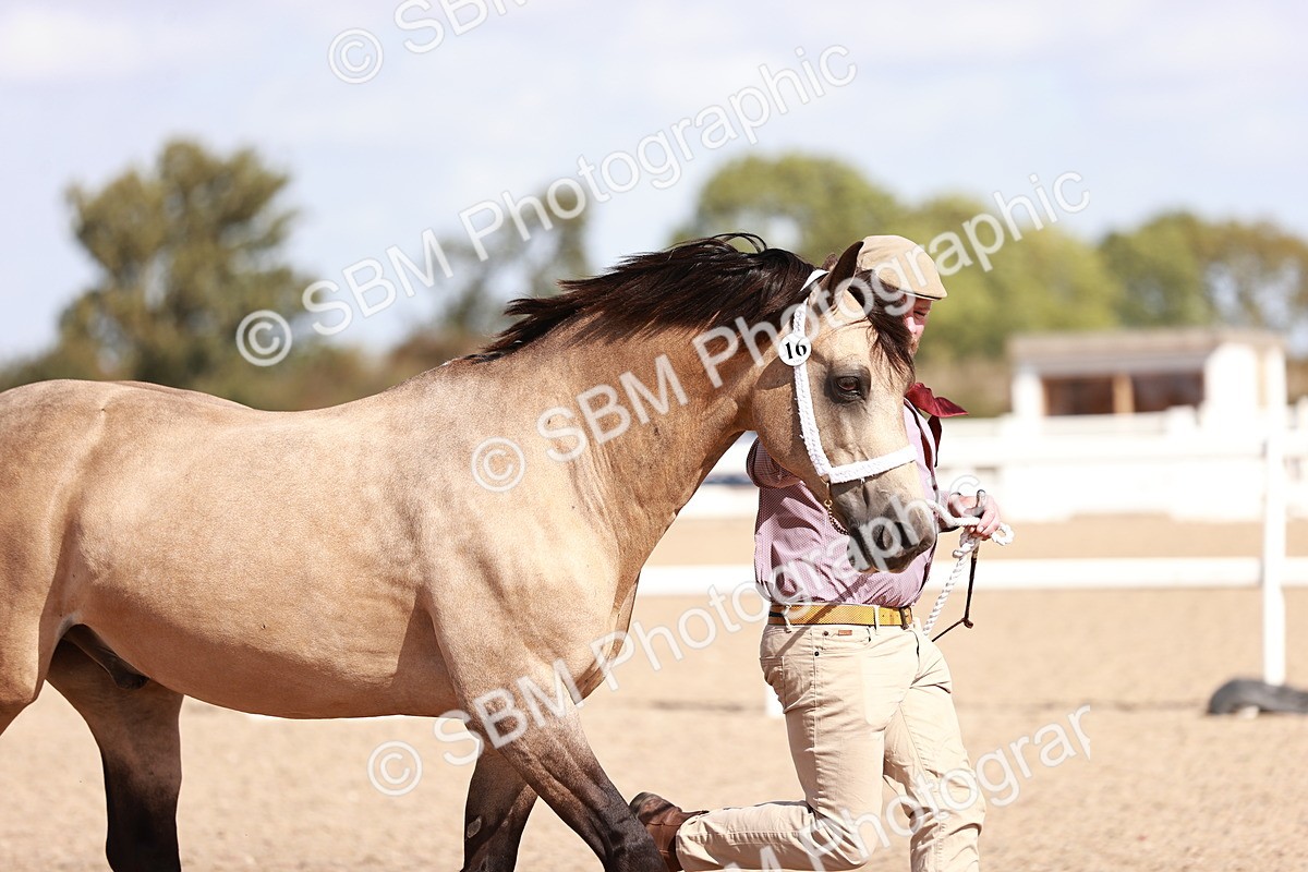 SBM_22987 - Class 707 - IH groom Helpers Class