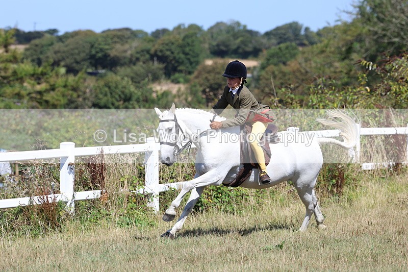 3E7A6393 - Working Hunter Championship