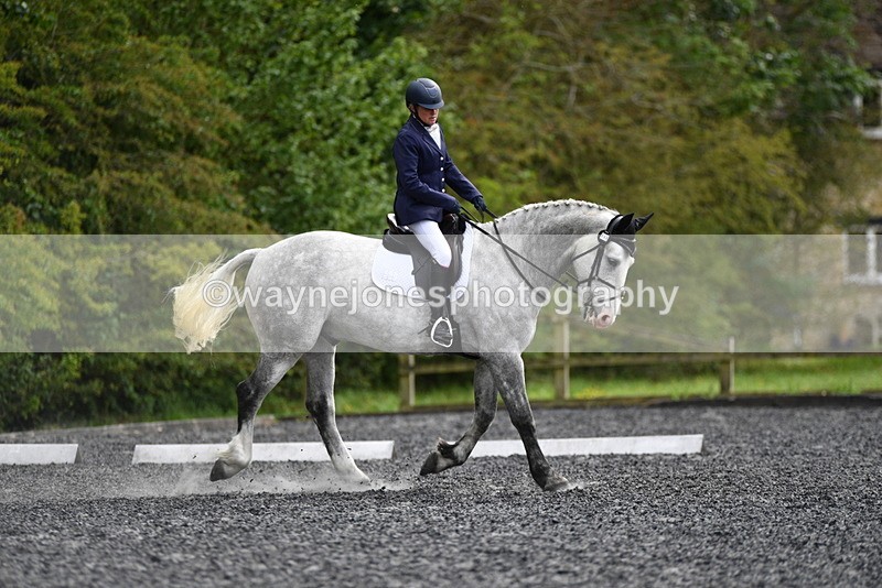 WJ5_2171 - Time 15:05 to 15:30