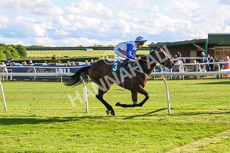 300525-Race 2-Cheerleader-7057 - Race 2