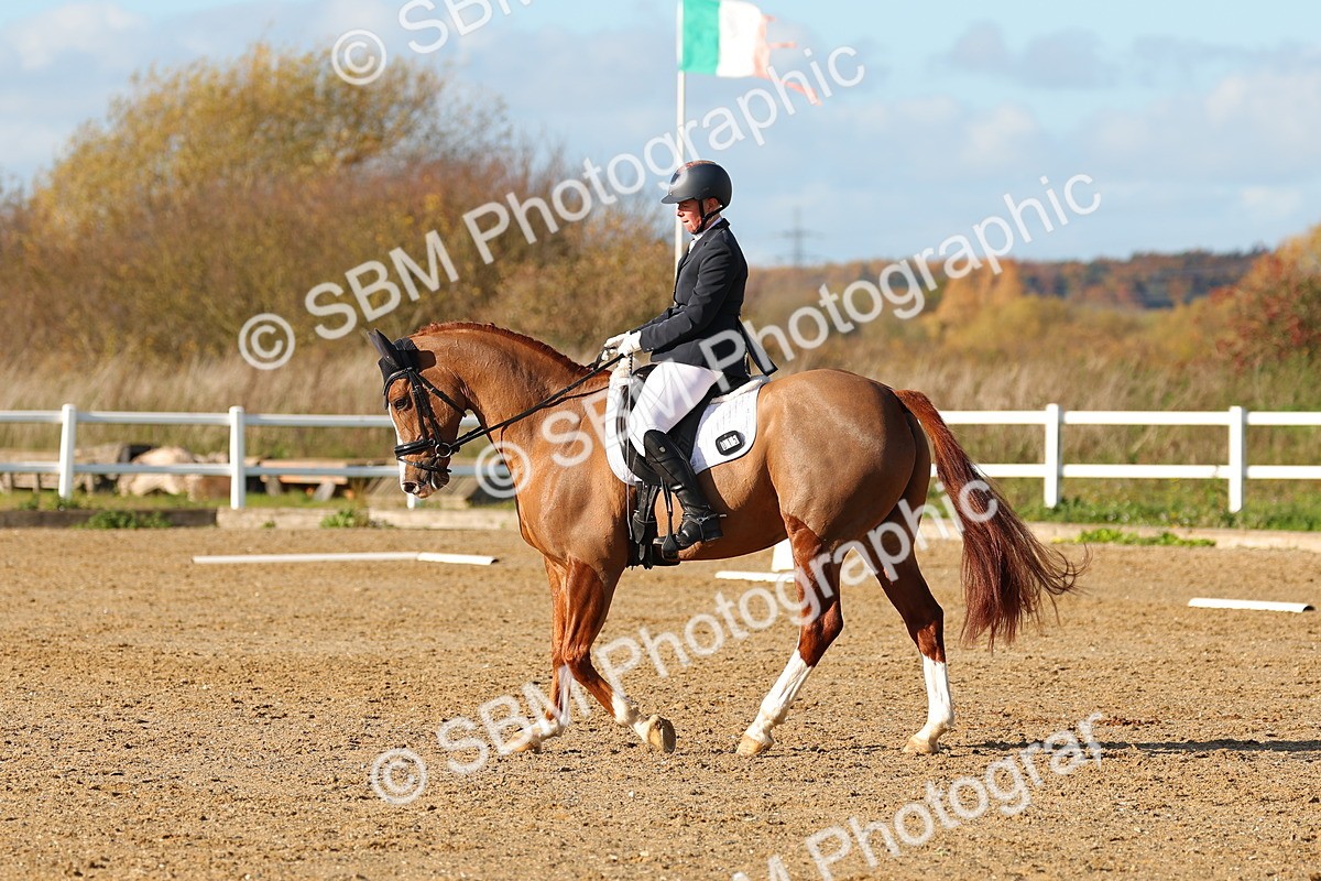 SBM_001445 - Medium 3