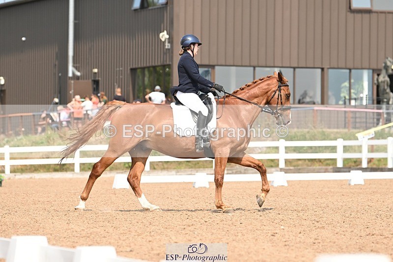 250816-134314-04906 - 080-Elizabeth.StoneZiggy