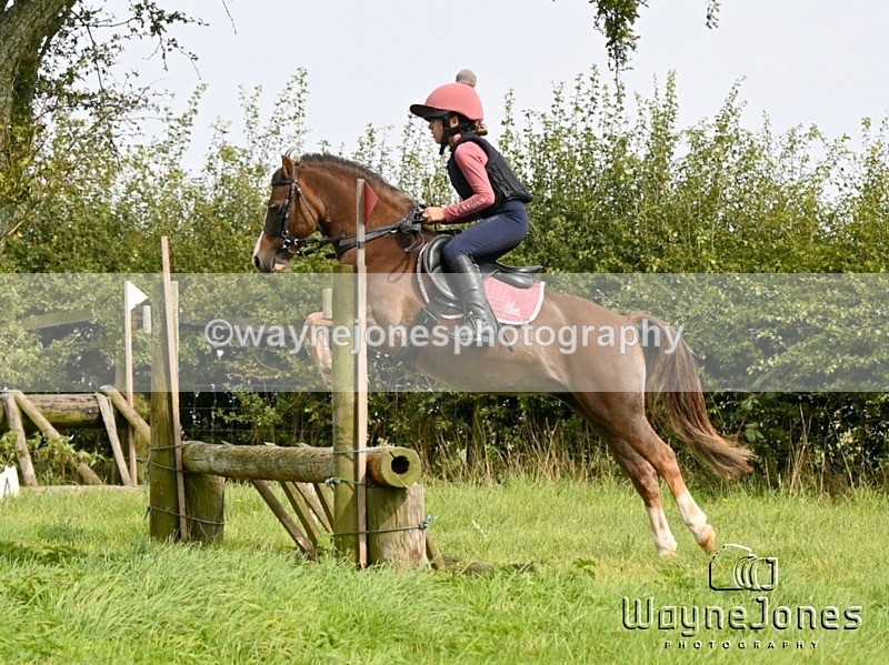 WJ6_8442 - Edited Examples