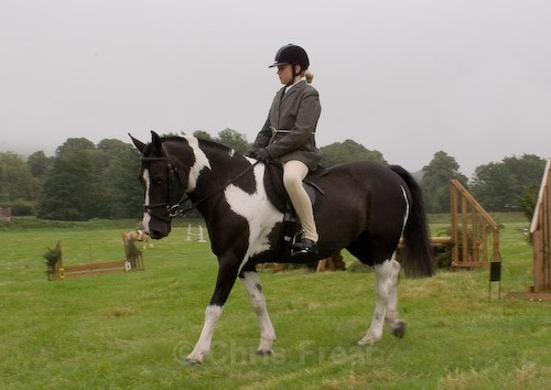 5 - Moniaive Horse Show 2008