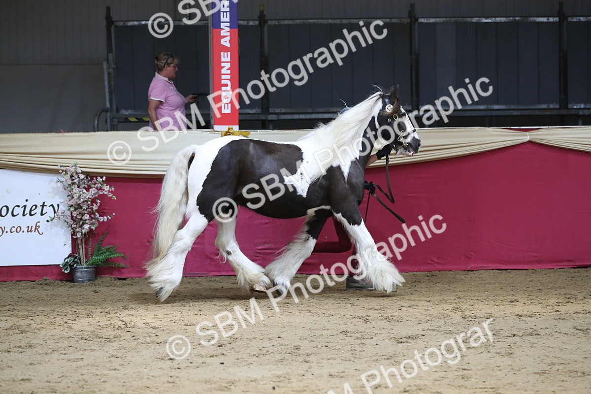 SBM_06239 - Class 9R Regional- IH Pre Vet