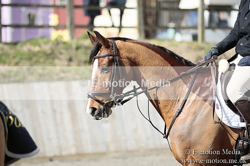 BVRC SJ 170319 356 - Bourne Valley Riding Club Showjumping 17/03/19