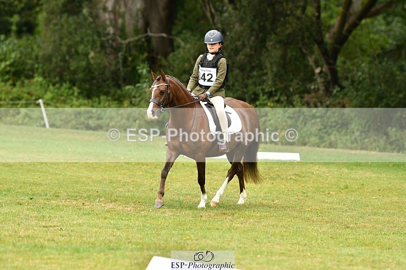 250820A-113010-05102 - 11am to 12