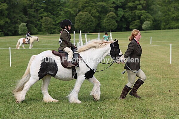 IMG_2293 - Working Hunter