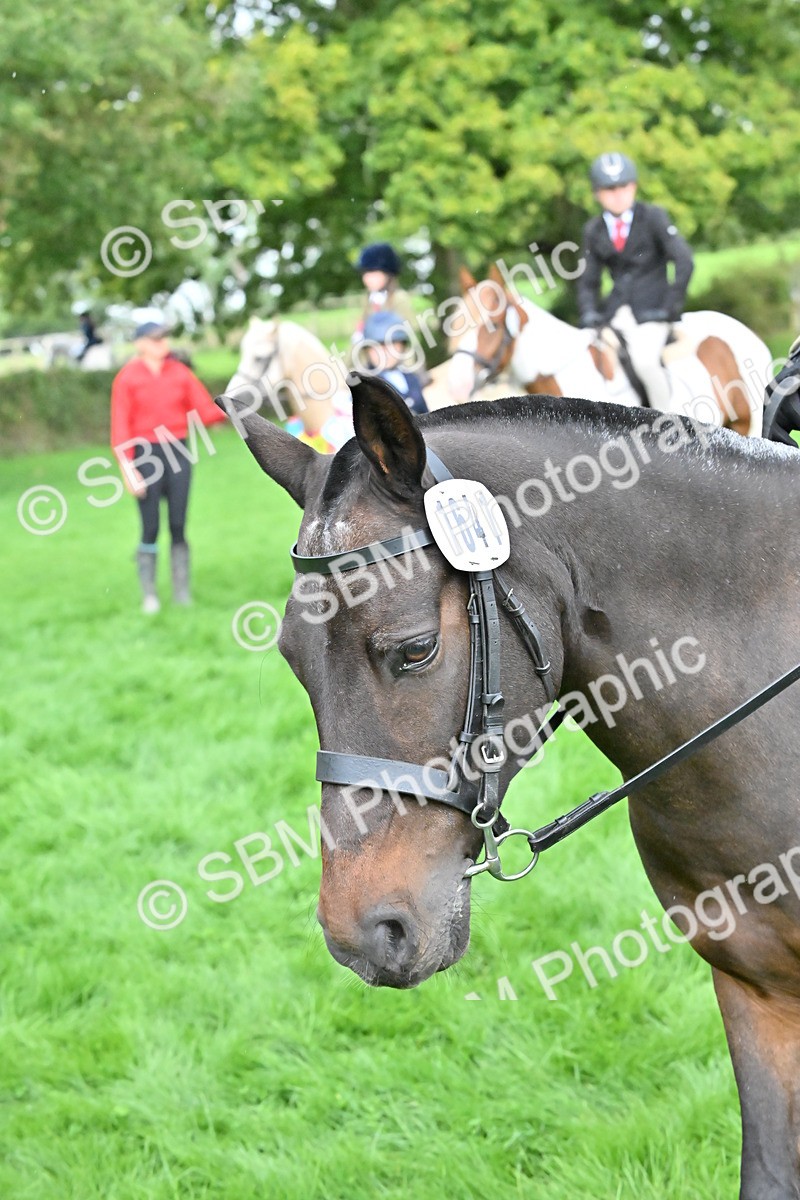 SBM_42930 - S12 - Family Horse & Pony