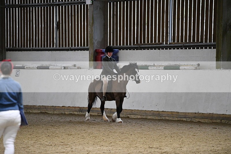 WJ5_8440 - Class 14 Novice Ridden/Rider